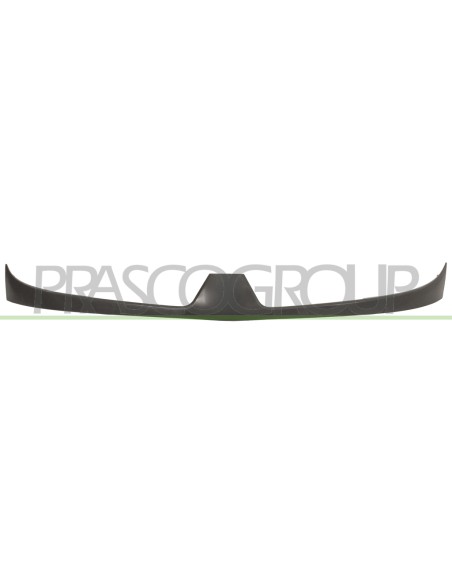 GRIGLIA RADIATORE ESTERNA MOD. 12-04 in poi RENAULT KANGOO Mod. 05-03 - 12-07