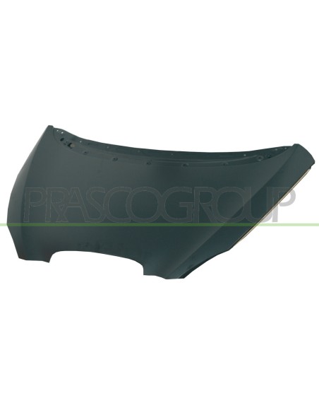 COFANO SEAT - TOLEDO - MOD. 01/05 - 12/08 ST3203100 PRASCO