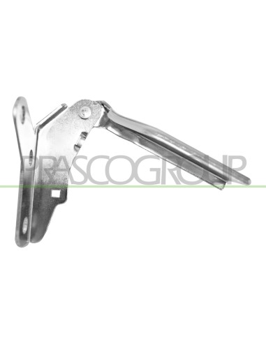 CERNIERA SINISTRA COFANO VOLKSWAGEN POLO Mod. 08-05 - 08-09