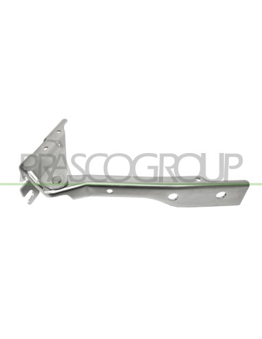 CERNIERA SINISTRA COFANO VOLKSWAGEN POLO Mod. 06-14 - 08-17