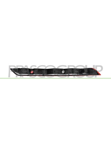 RETRONEBBIA SINISTRO CON PORTA LAMPADA AUDI Q5 (FY) Mod. 02-17 - 08-20
