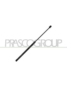 MOLLA A GAS LUNOTTO POSTERIORE 305 N L 554,5 mm C 229 mm Ø 18 mm Ø 8 mm CITROEN C1 Mod. 06-05 - 12-08