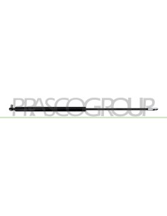 MOLLA A GAS PORTELLONE POSTERIORE CON PERNO 390 N L 550 mm C 235 mm Ø 18 mm Ø 8 mm 2