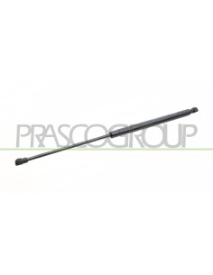 MOLLA A GAS DESTRA-SINISTRA PORTELLONE POSTERIORE 320 N L 486 mm C 205 mm Ø 18 mm Ø 8 mm
