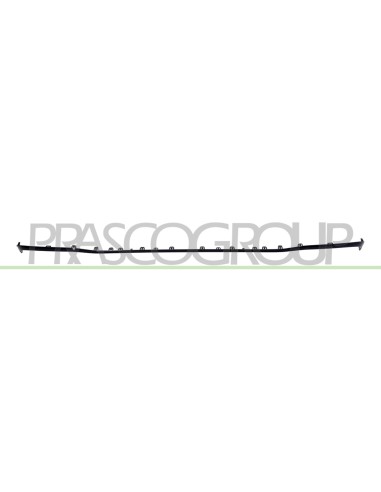 MODANATURA PARAURTI POSTERIORE INFERIORE CENTRALE NERA LUCIDA MOD. AMG E53-E63