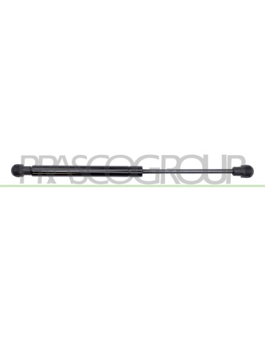 MOLLA A GAS DESTRA-SINISTRA PORTELLONE POSTERIORE 130 N L 305 mm C 120 mm Ø 15 mm Ø 6 mm MOD. COUPE’