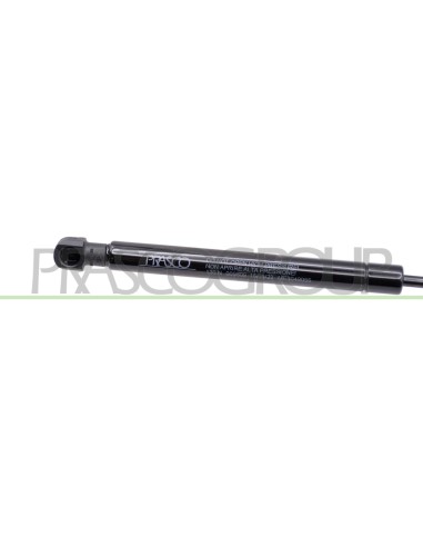 MOLLA A GAS DESTRA-SINISTRA PORTELLONE POSTERIORE 130 N L 305 mm C 120 mm Ø 15 mm Ø 6 mm MOD. COUPE’