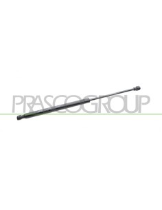 MOLLA A GAS DESTRA-SINISTRA PORTELLONE POSTERIORE 90 N L 445 mm C 176 mm Ø 18 mm Ø 8 mm MOD. COUPE'