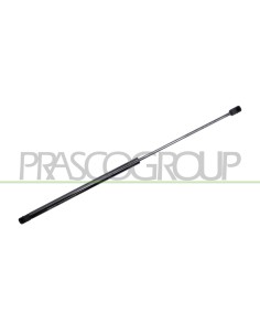 MOLLA A GAS DESTRA-SINISTRA PORTELLONE POSTERIORE 245 N L 609,5 mm C 265 mm Ø 18 mm Ø 8 mm MOD. 5 PORTE