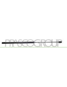 MOLLA A GAS DESTRA-SINISTRA PORTELLONE POSTERIORE 245 N L 609,5 mm C 265 mm Ø 18 mm Ø 8 mm MOD. 5 PORTE 2