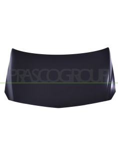 COFANO ALLUMINIO 2