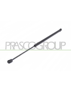 MOLLA A GAS DESTRA-SINISTRA PORTELLONE POSTERIORE 590 N L 542 mm C 200 mm Ø 18 mm Ø 8 mm