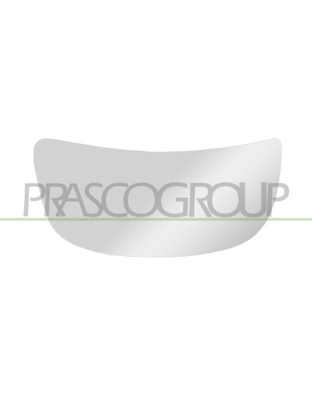 PIASTRA SPECCHIO INFERIORE SINISTRO VISUALE ANGOLO MORTO CONVESSA