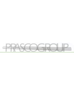MODANATURA PORTA ANTERIORE DESTRA GRIGIA LISCIA DA PRIMERIZZARE MOD. 5 PORTE