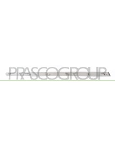 MODANATURA PORTA ANTERIORE DESTRA GRIGIA LISCIA DA PRIMERIZZARE MOD. 5 PORTE 2