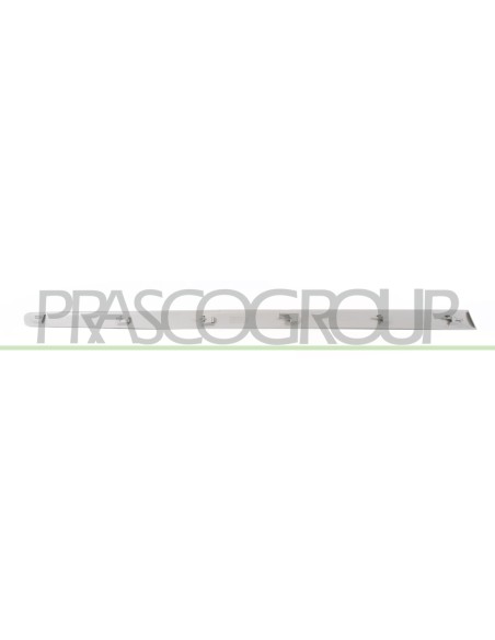 MODANATURA PORTA ANTERIORE DESTRA GRIGIA LISCIA DA PRIMERIZZARE MOD. 5 PORTE