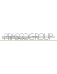MODANATURA PORTA ANTERIORE SINISTRA GRIGIA LISCIA DA PRIMERIZZARE MOD. 5 PORTE
