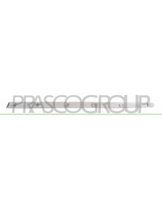 MODANATURA PORTA ANTERIORE SINISTRA GRIGIA LISCIA DA PRIMERIZZARE MOD. 5 PORTE 2
