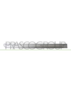 MODANATURA PORTA POSTERIORE DESTRA GRIGIA LISCIA DA PRIMERIZZARE CON CLIPS MOD. 5 PORTE