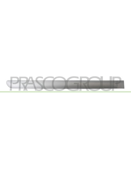 MODANATURA PORTA POSTERIORE DESTRA GRIGIA LISCIA DA PRIMERIZZARE CON CLIPS MOD. 5 PORTE