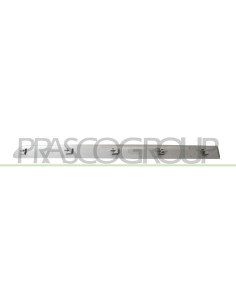 MODANATURA PORTA POSTERIORE DESTRA GRIGIA LISCIA DA PRIMERIZZARE CON CLIPS MOD. 5 PORTE 2