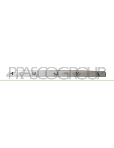 MODANATURA PORTA POSTERIORE DESTRA GRIGIA LISCIA DA PRIMERIZZARE CON CLIPS MOD. 5 PORTE