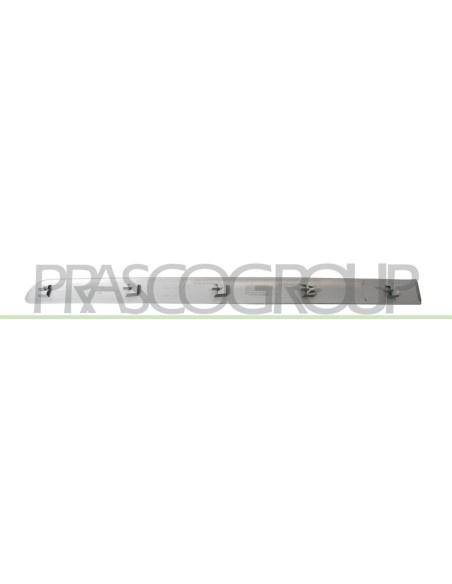 MODANATURA PORTA POSTERIORE DESTRA GRIGIA LISCIA DA PRIMERIZZARE CON CLIPS MOD. 5 PORTE