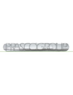 MODANATURA PARAURTI ANTERIORE INFERIORE GRIGIO ARGENTO