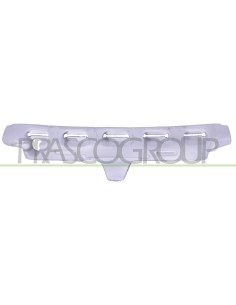 ASSORBITORE PARAURTI ANTERIORE 2