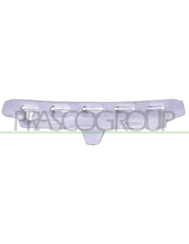ASSORBITORE PARAURTI ANTERIORE