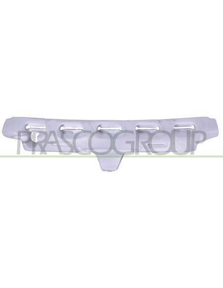 ASSORBITORE PARAURTI ANTERIORE