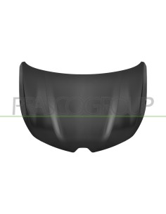 COFANO CON FORI CERNIERA DISASSATI 2