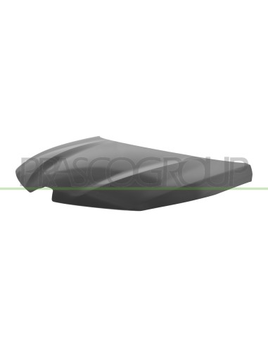 COFANO CON FORI CERNIERA DISASSATI ALLUMINIO