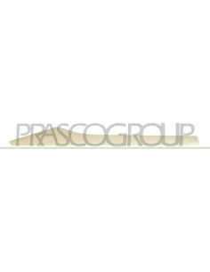 PROFILO PORTA POSTERIORE DESTRA ABS