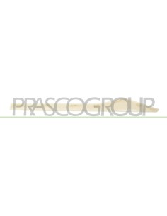 PROFILO PORTA POSTERIORE DESTRA ABS 2