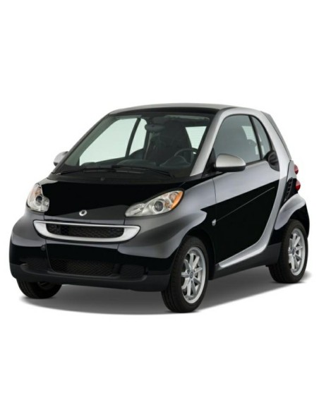 VETRINO CON PIASTRA SX SMART FORTWO 07 in poi